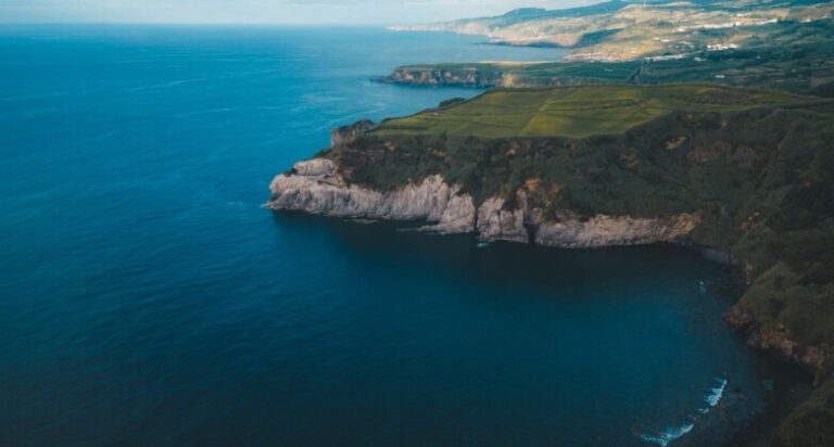 The Azores Protects Whales and Corals with Marine Preserve as Big as Virginia and Georgia Combined